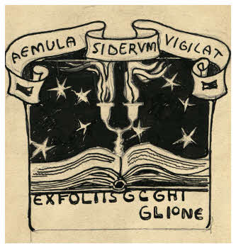 Visualizza l'immagine "FD D 1736"